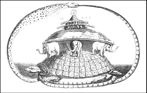 tortoise.gif