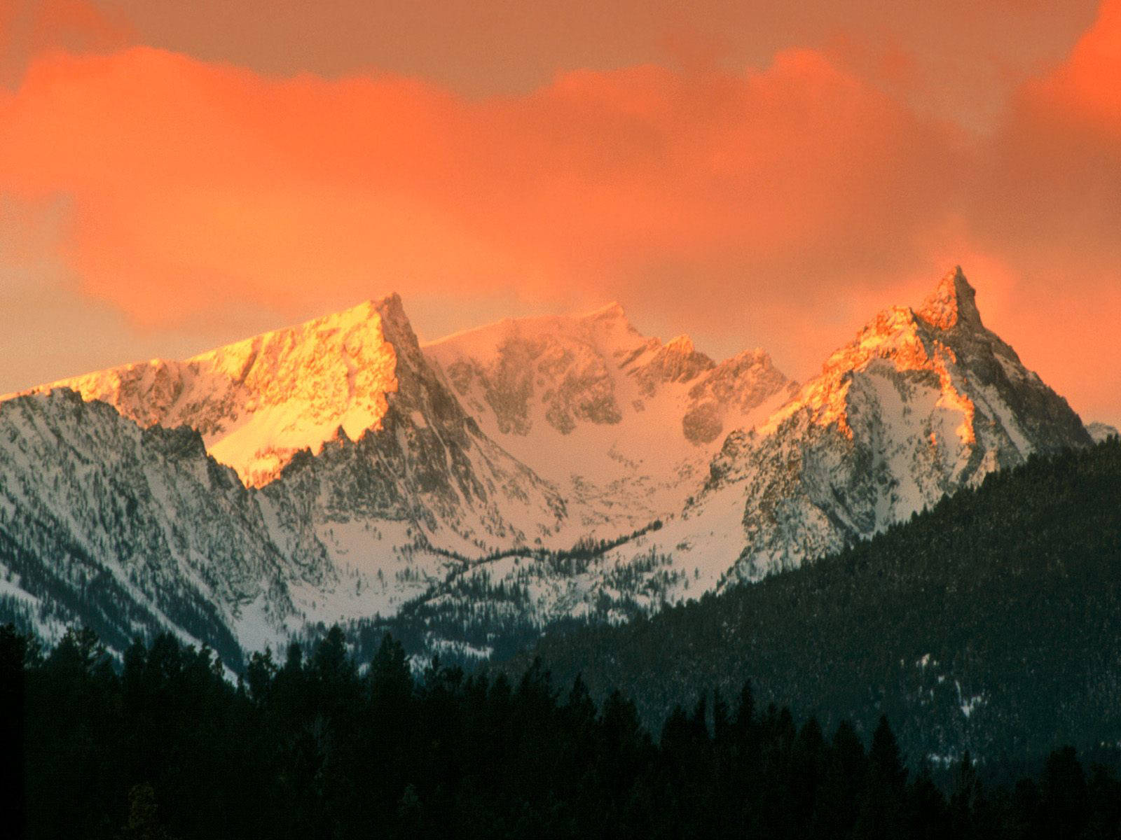 Trapper-Peak-Bitterroot-Mountains-Montana.jpg