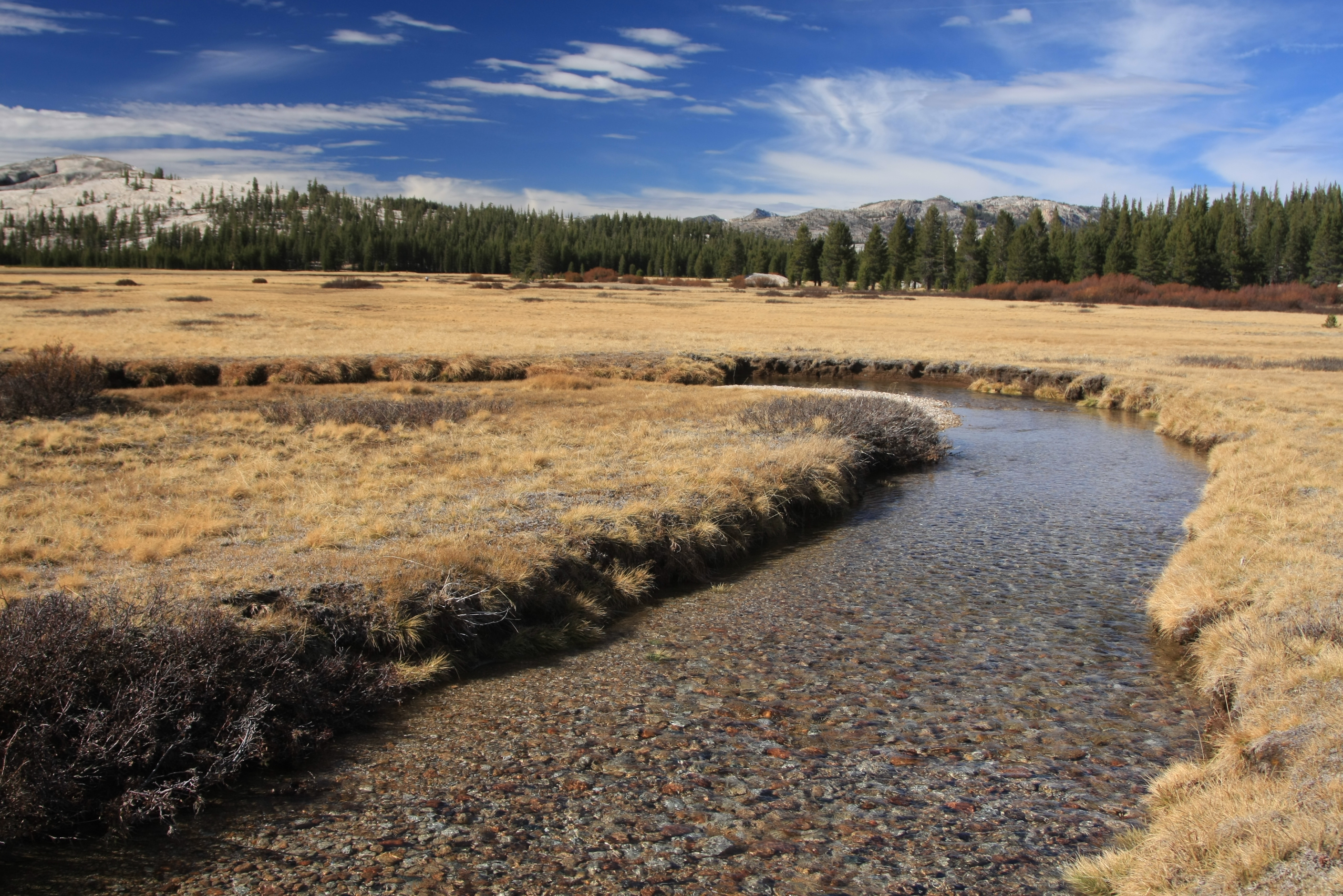 Tuolumne_Meadows_with_Meandering_River_in_Autumn.jpeg