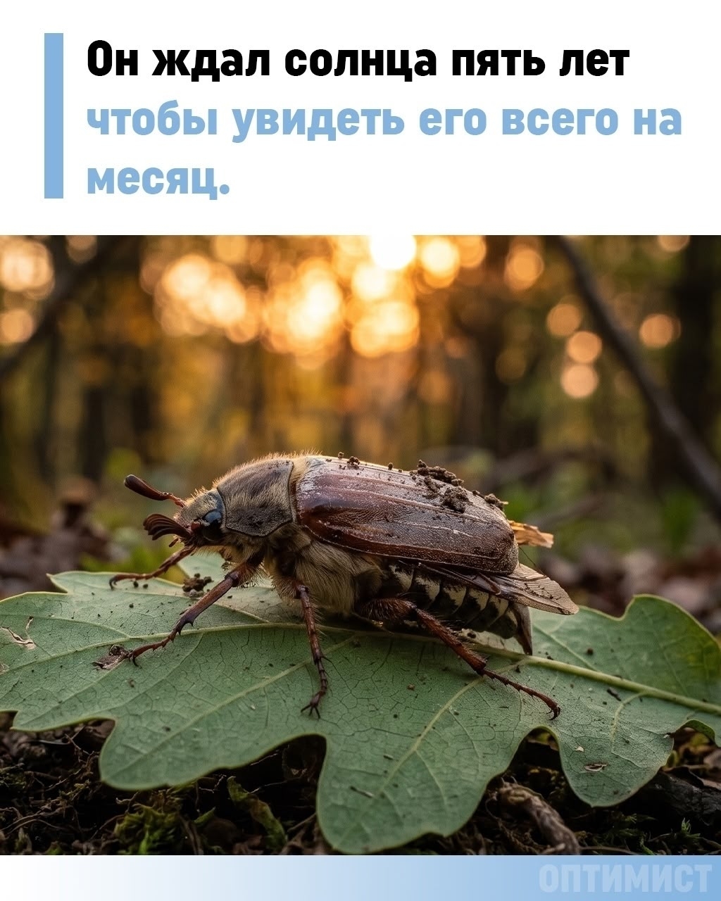 uK6LZJ9yaAk.jpg