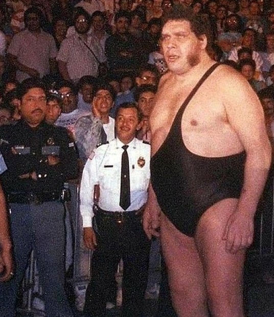 vBZrKLRadHg.jpg
