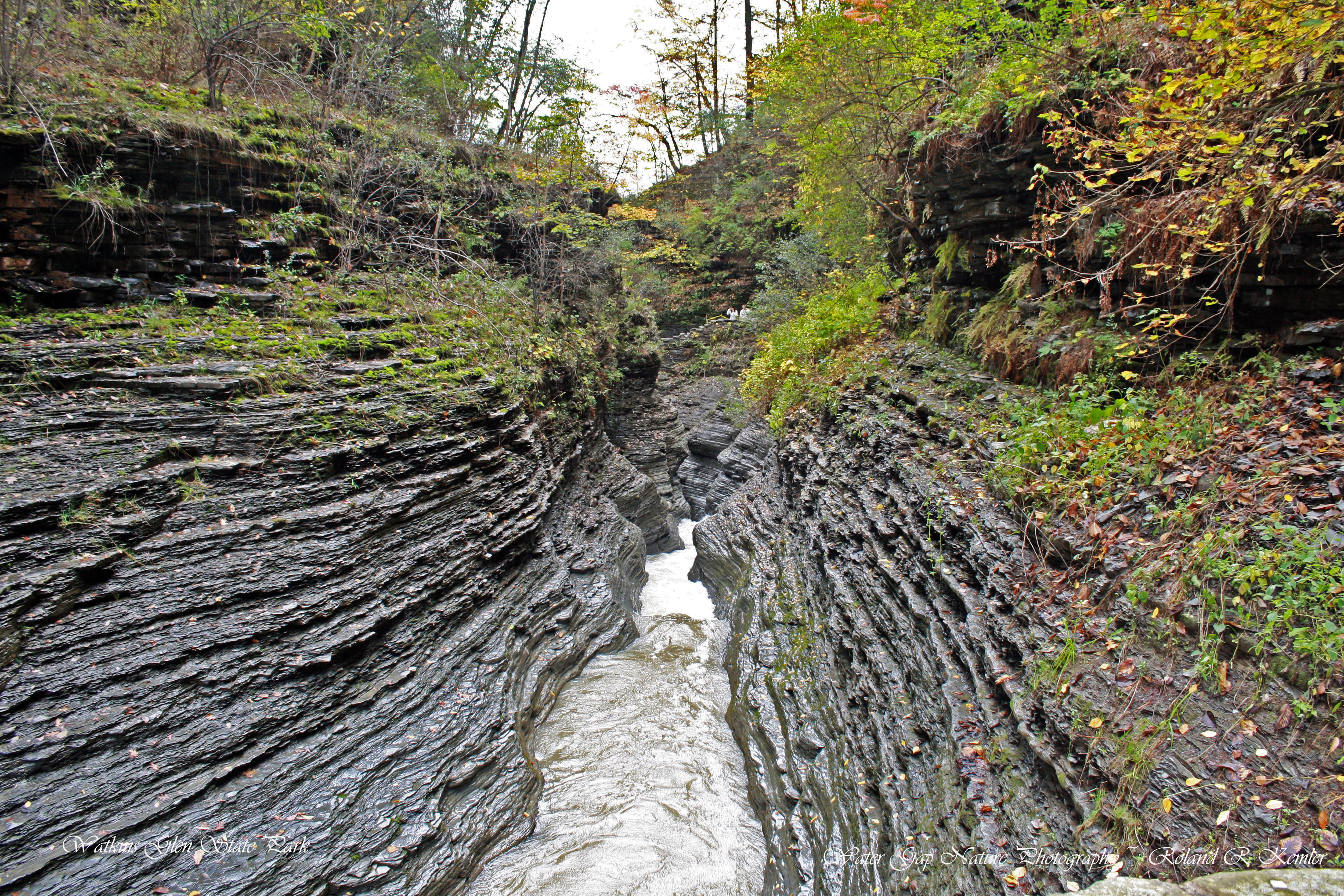 Watkins Glen state park 031 copy.jpg