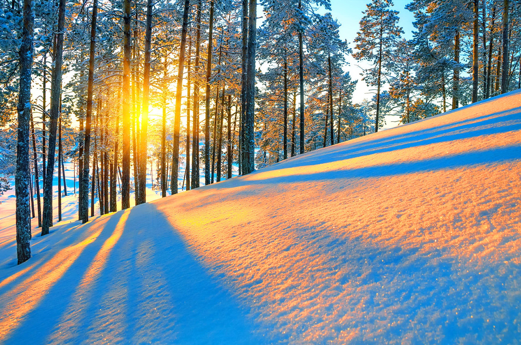 winter-sunrise-desktop-background-521575.jpg