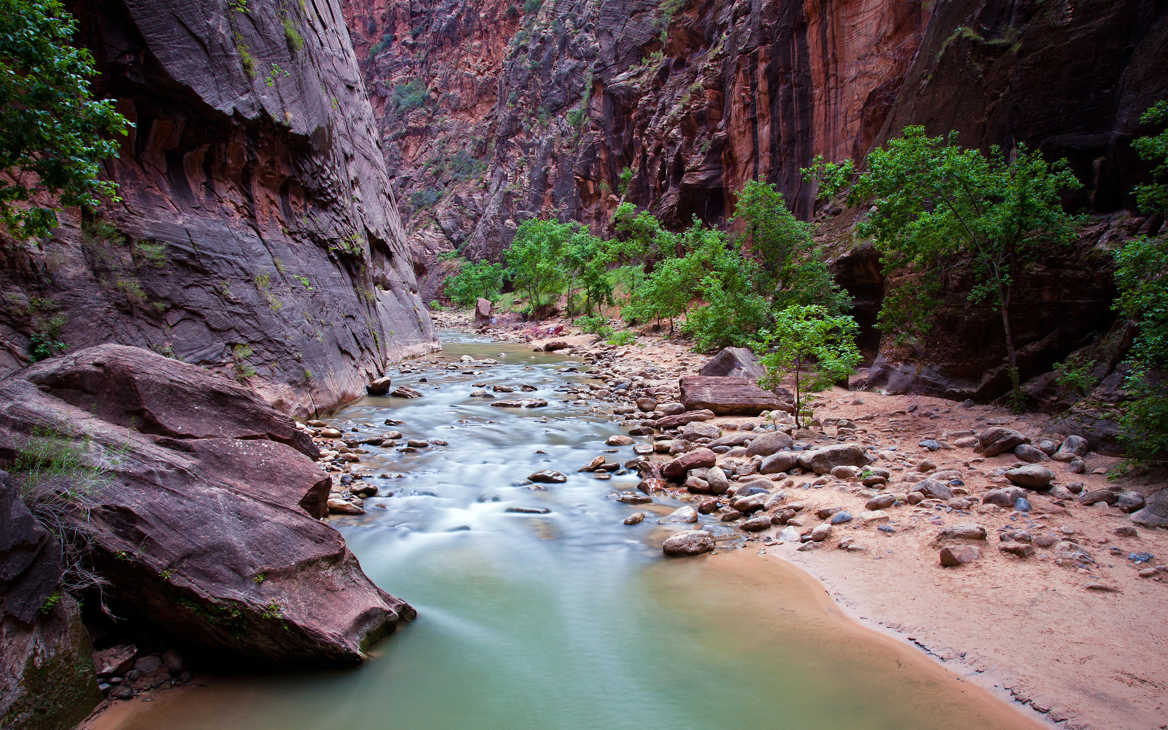 World___USA_Zion_National_Park__Utah__United_States_059319_.jpg