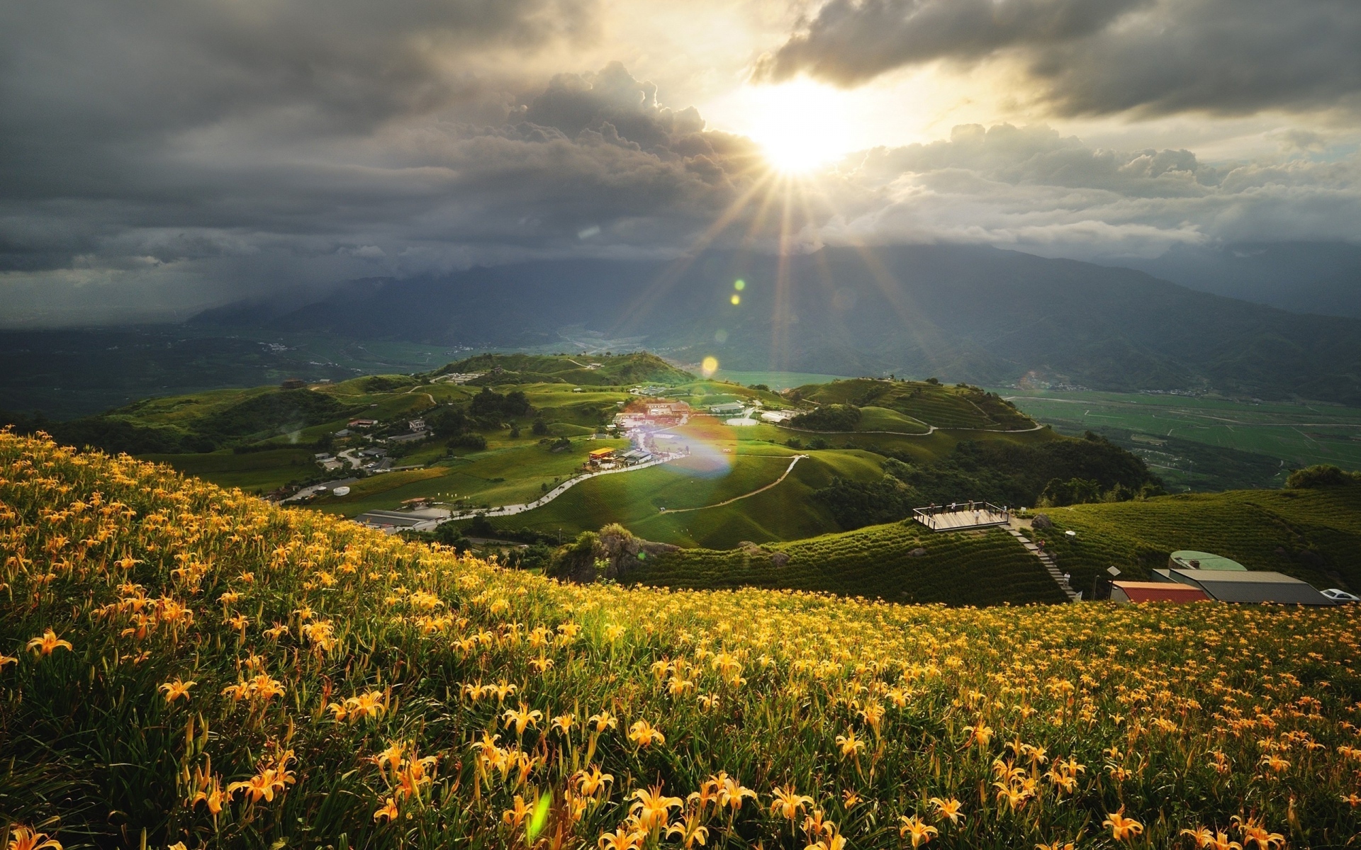 ws_Hills_Yellow_Flowers_Houses_1920x1200.jpg