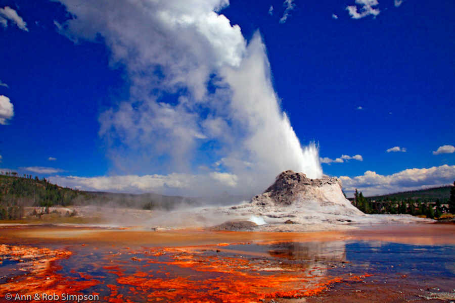 YellowstoneCastle-Geyser_AnnRobSimpsonC4F016645z.jpg