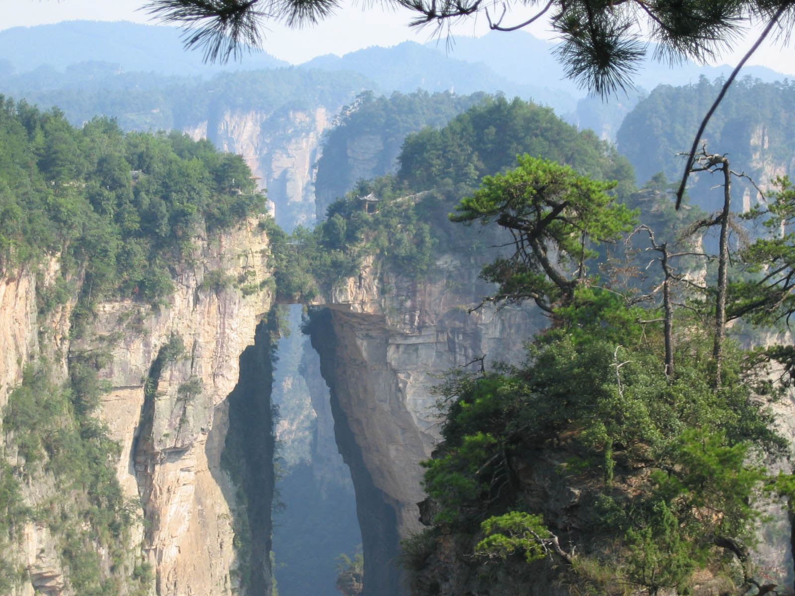 zhangjiajie3 (1).jpg