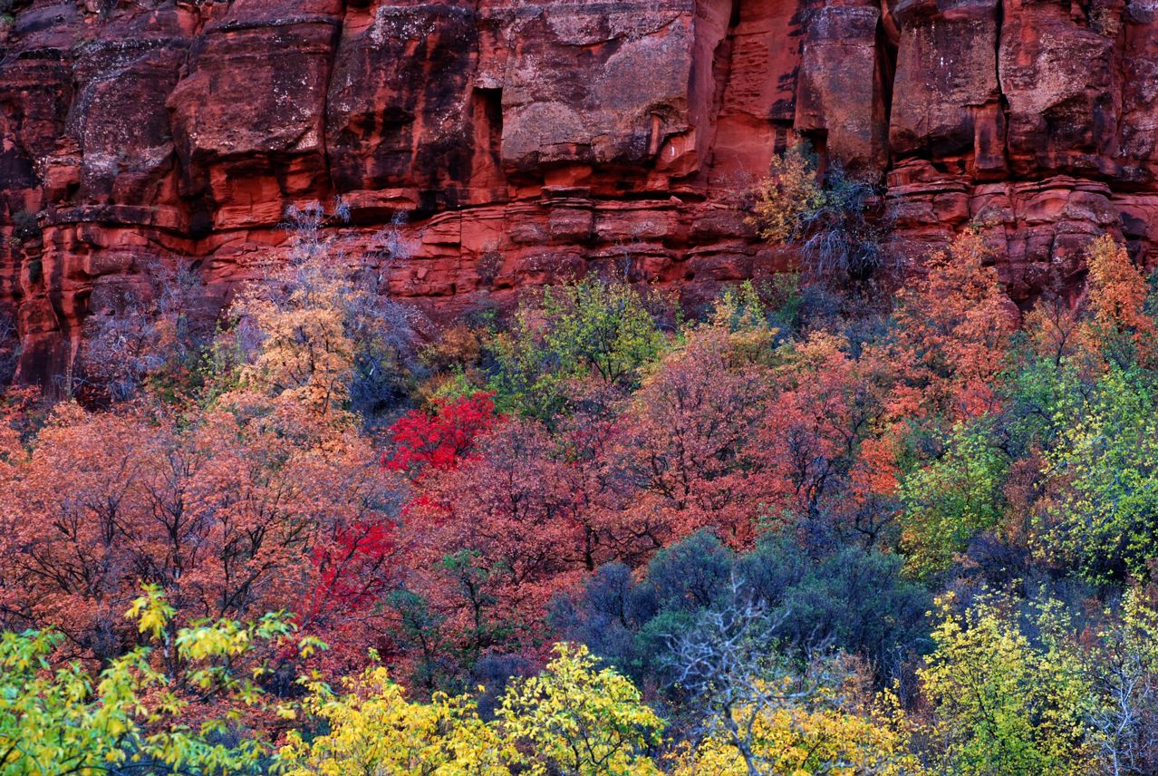 Zion-Canyon-Utah-USA.jpg