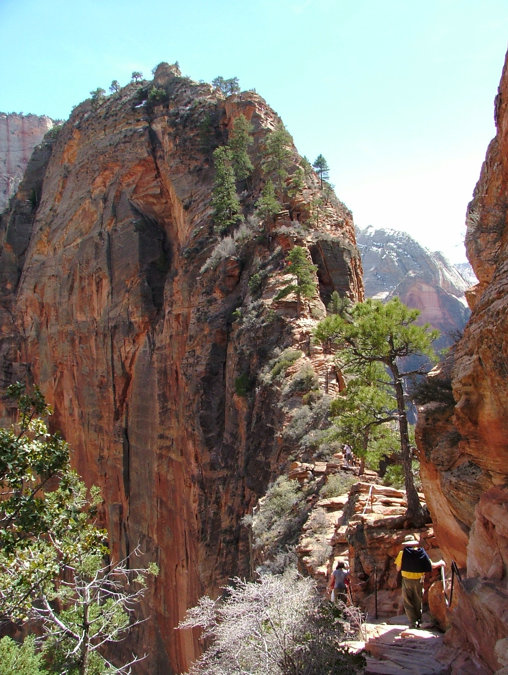 Zion-National-Park-UTAH.jpg