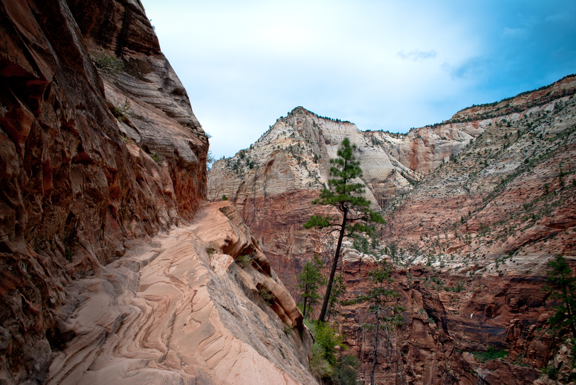 zion_national_park_15_hidden_canyon_trail.jpg